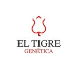 el-tigre-genetica