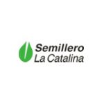semillero-la-catalina